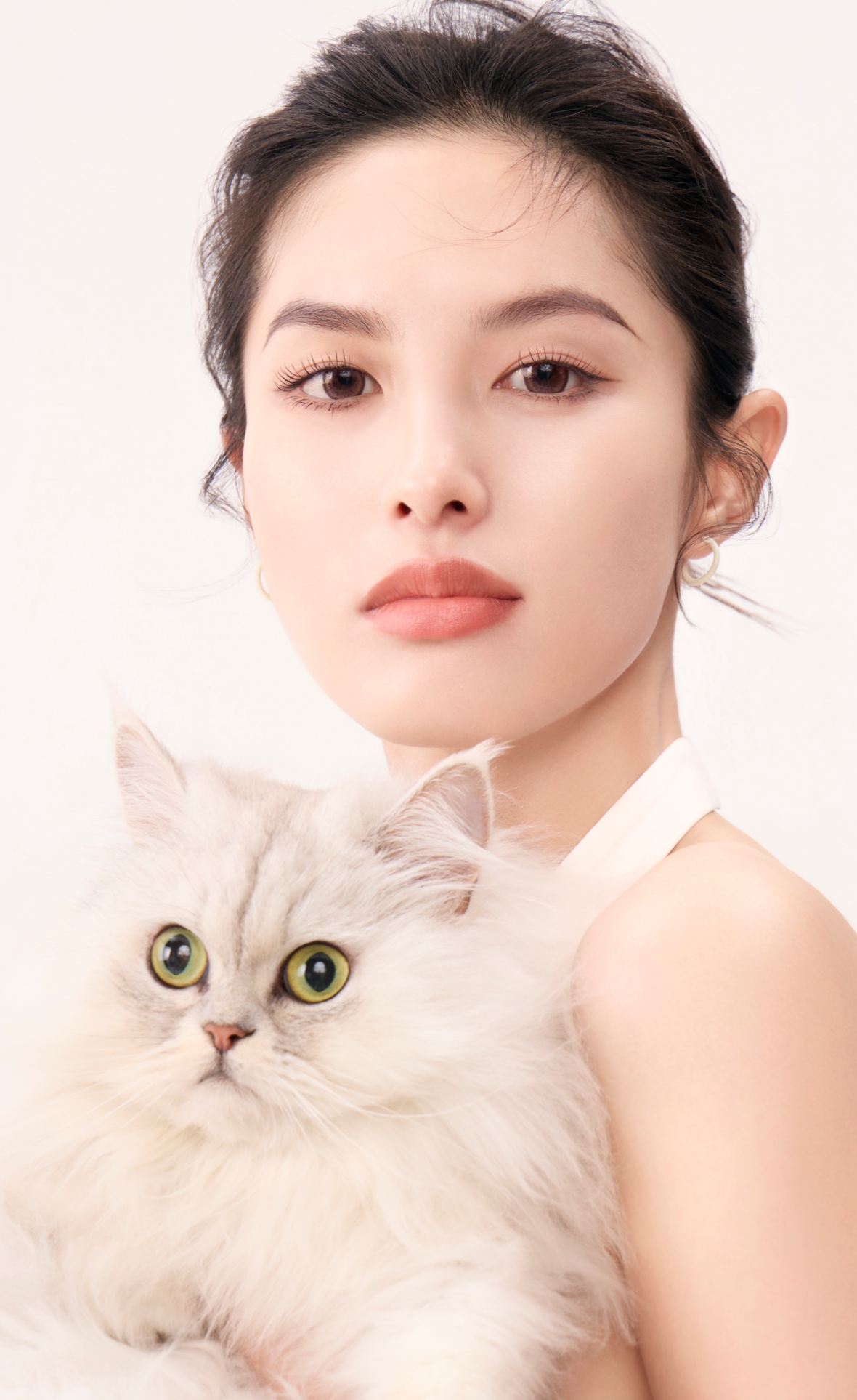 396x642-猫咪正脸_副本.jpg